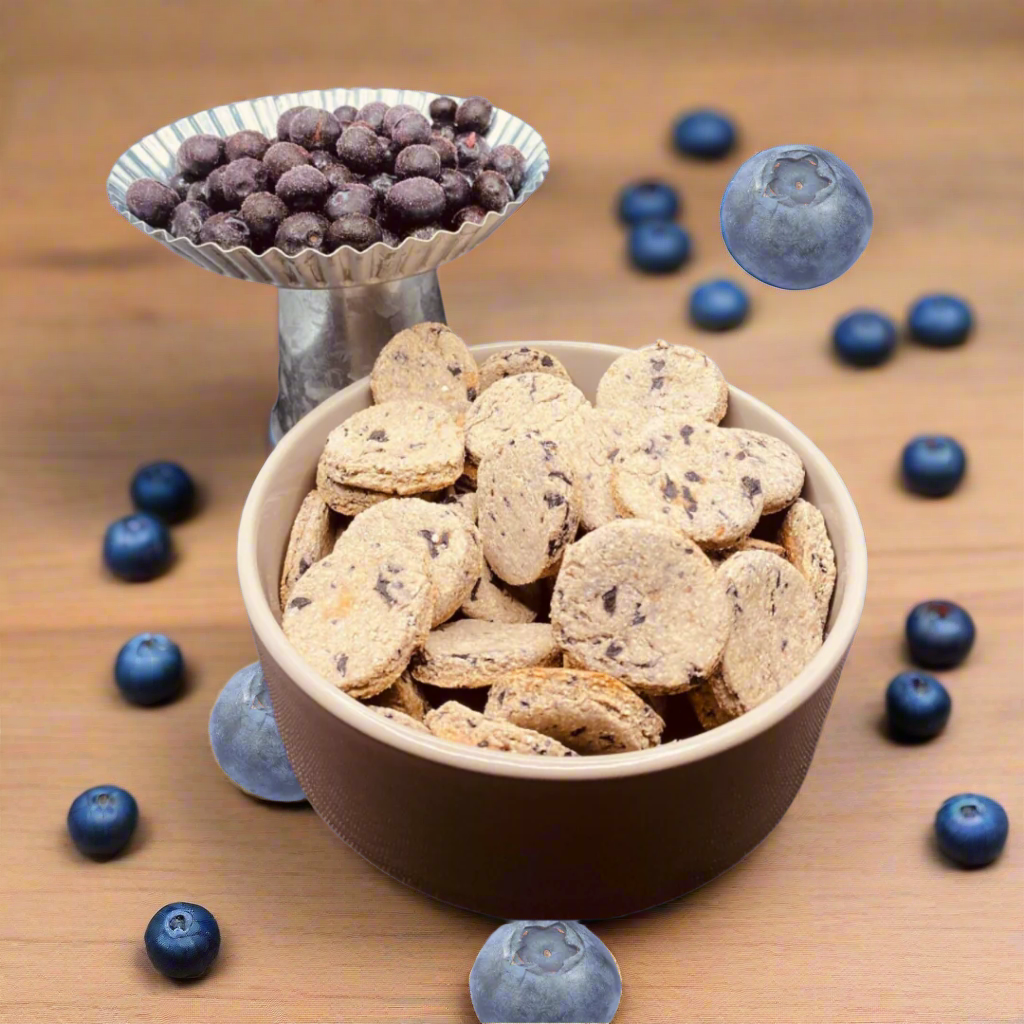 Blue Berry Treats