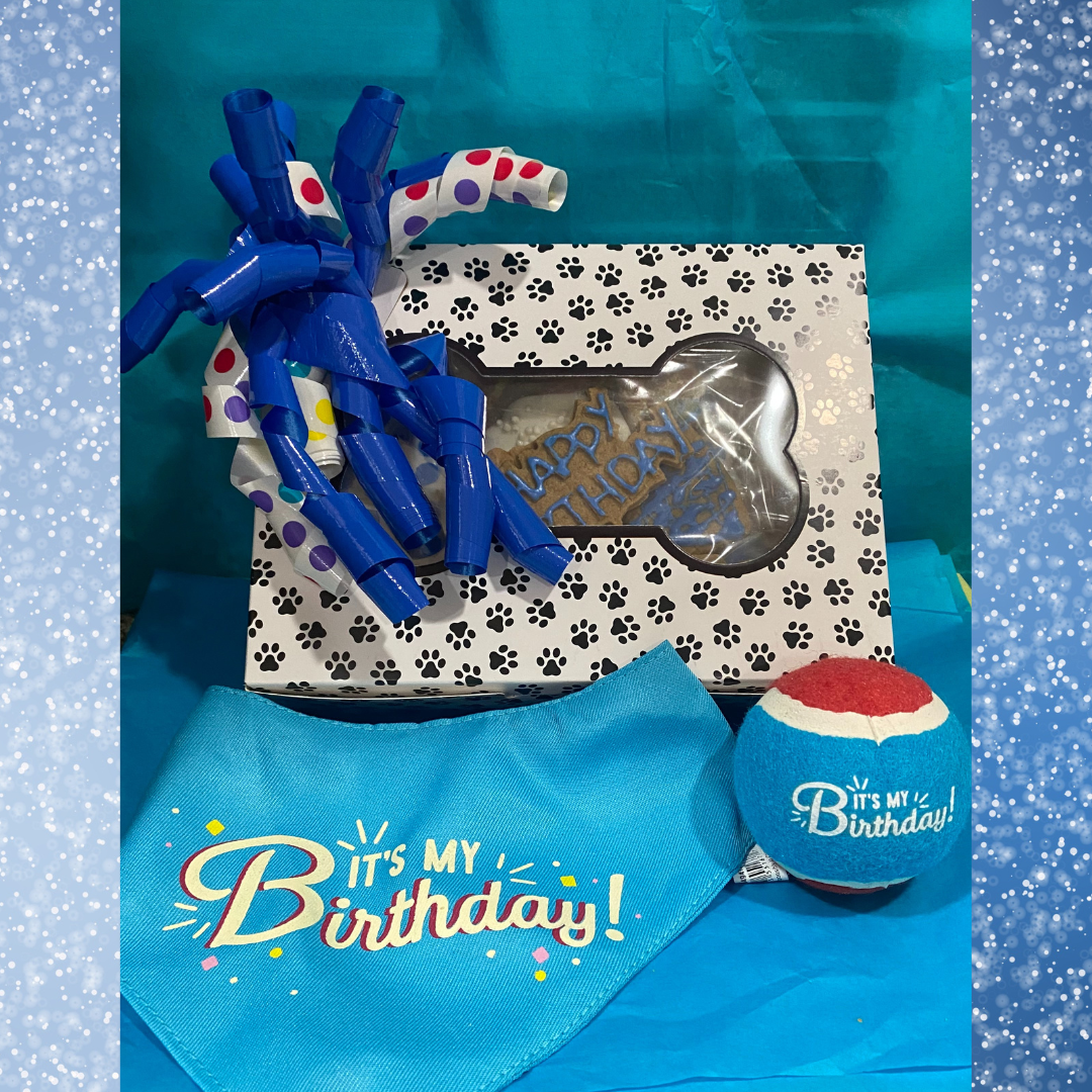 Custom Birthday Box with Ball and Bandana