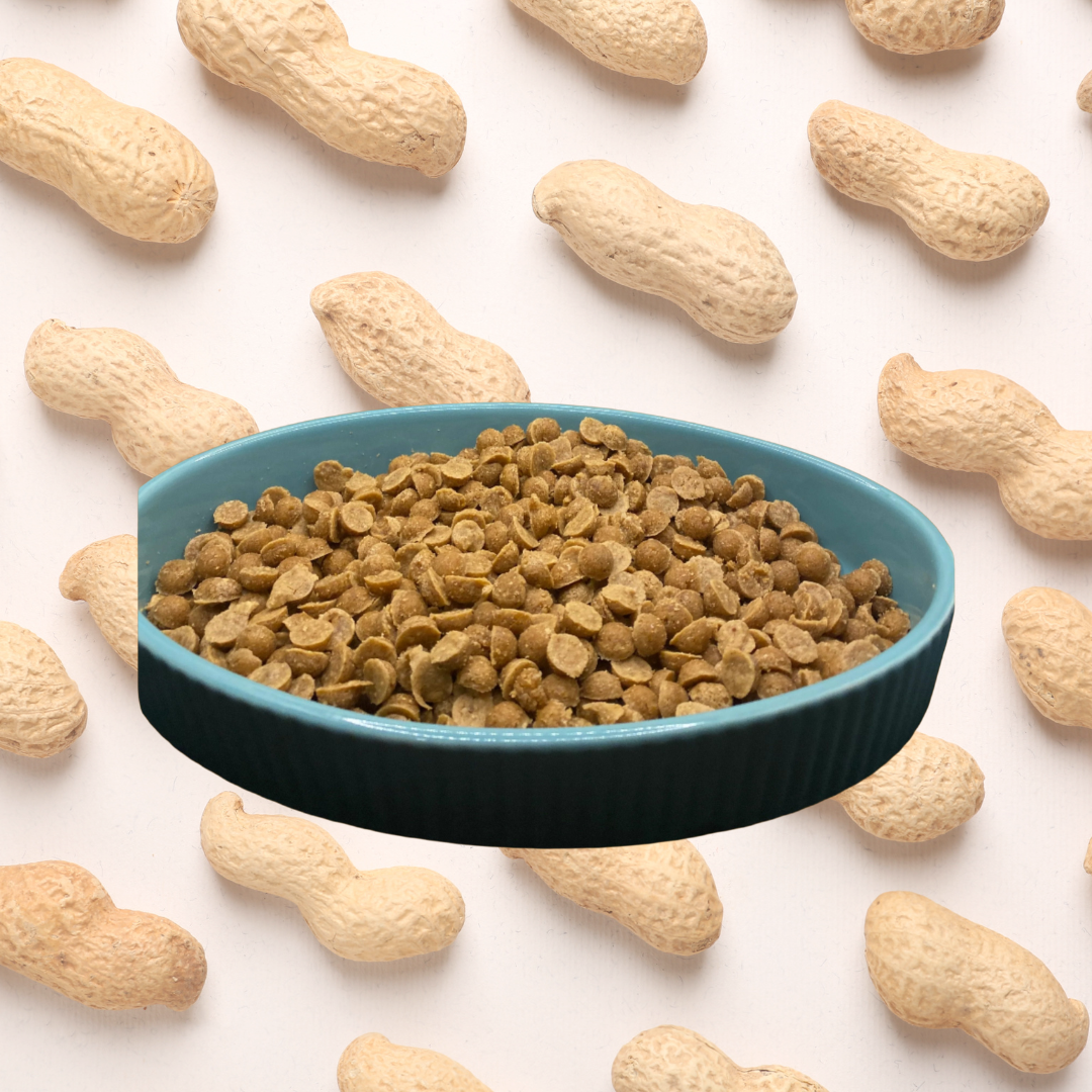 Peanut Butter Puppy Training Treats