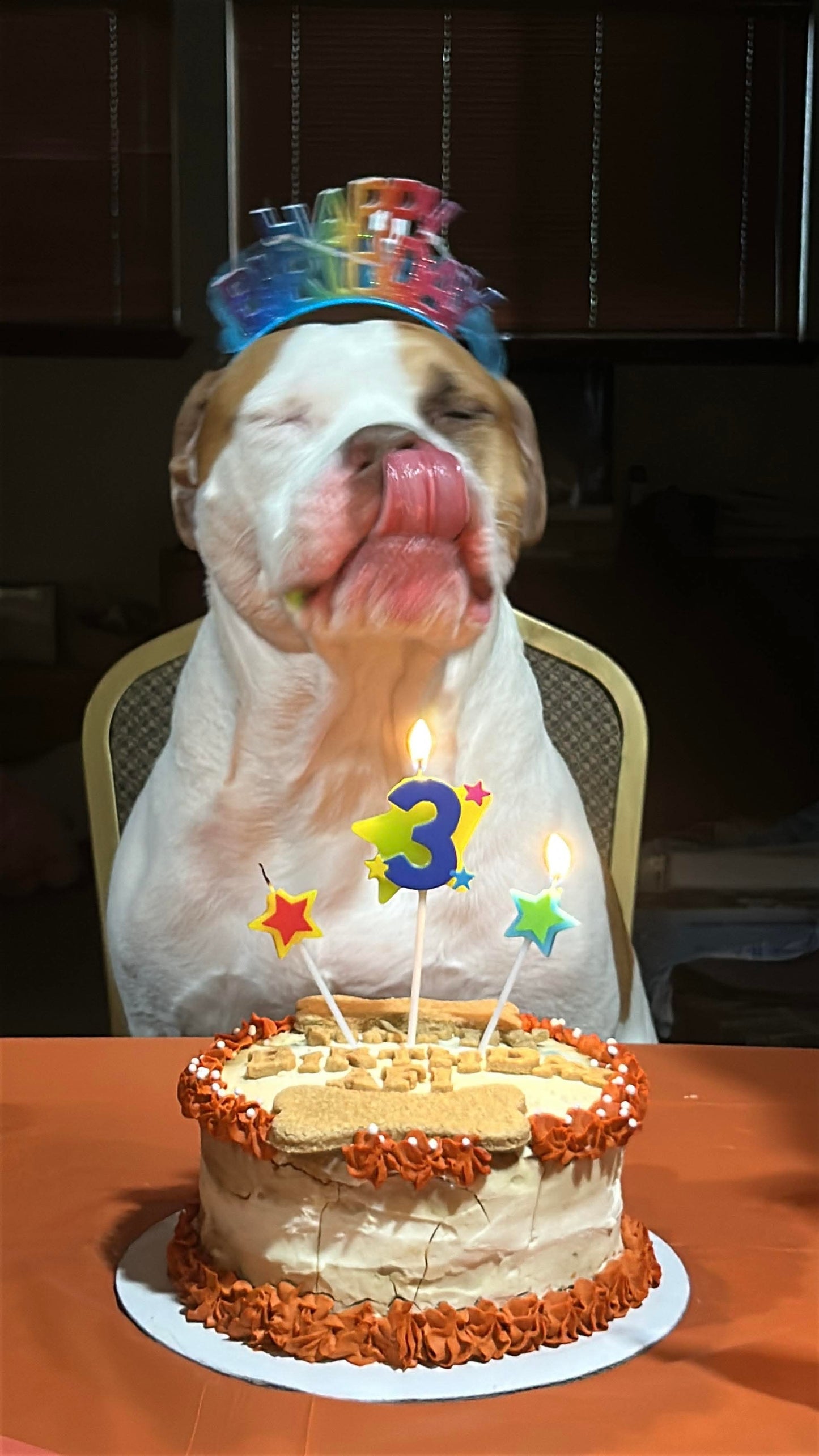 6 inch Custom Birthday Cake - Local Delivery or Pickup only- Delivery Fees May Apply