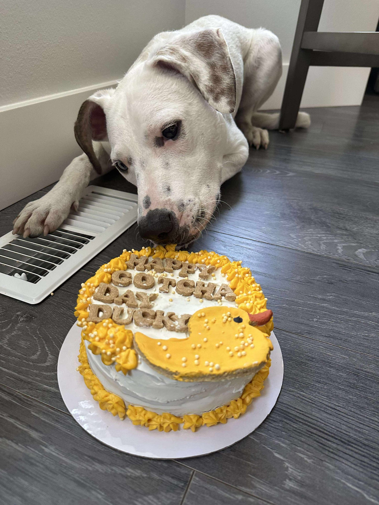 6 inch Custom Birthday Cake - Local Delivery or Pickup only- Delivery Fees May Apply