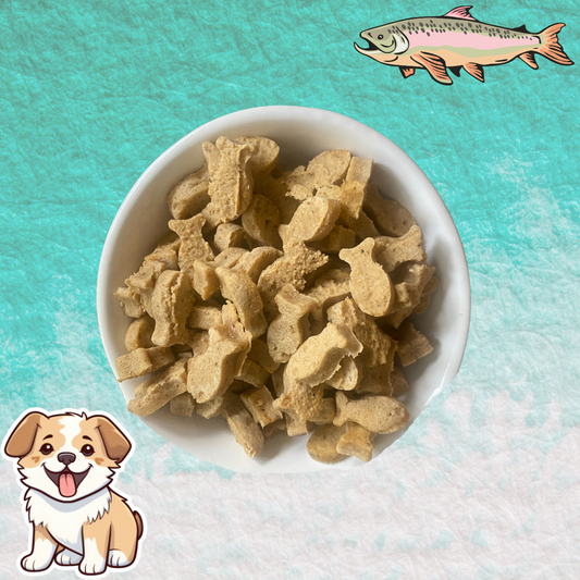 Alaskan Salmon Dog Treats